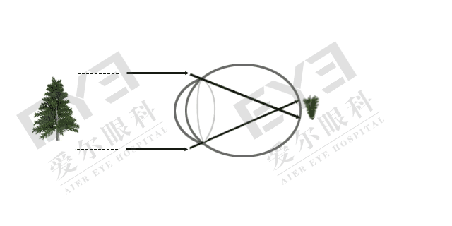 框架.gif 框架.gif